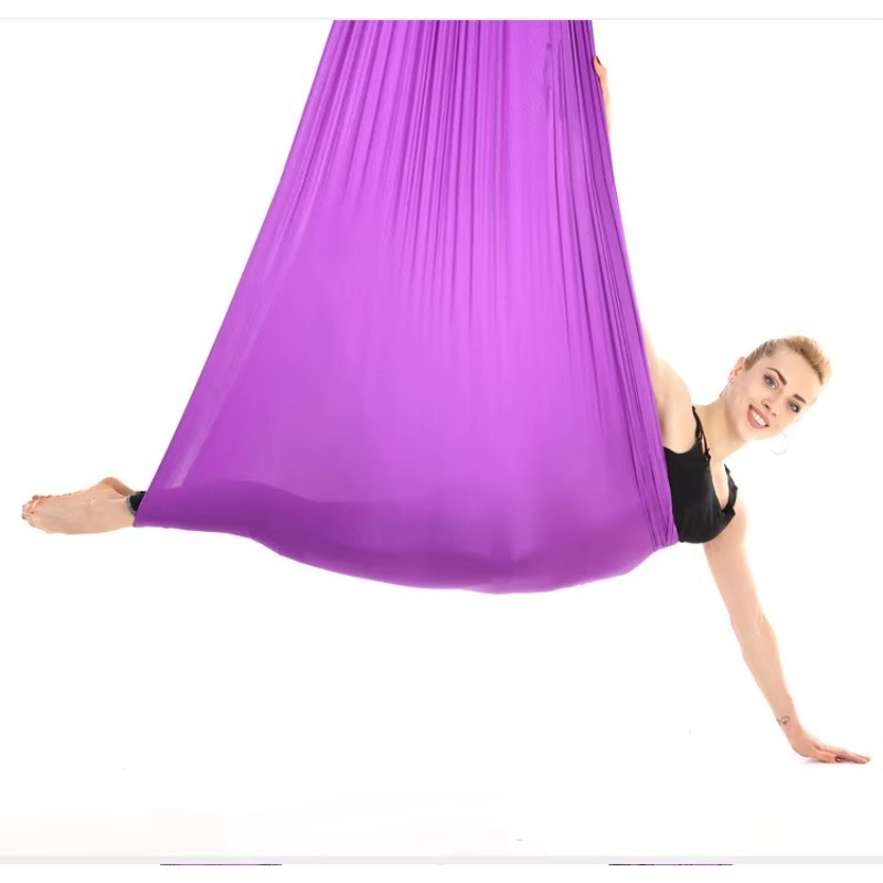 Professional Nylon Aerial Yoga - Home Gym Equipment Set avis et prix
