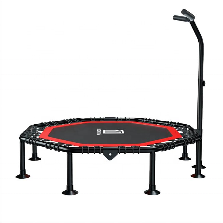 Trampoline with Adjustable Han - Home Gym For Kids avis et prix