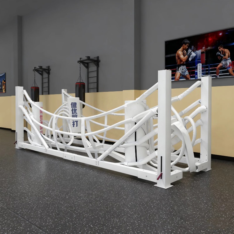 Foldable Gym Boxing Ring Set S - Home Gym Equipment Set avis et prix
