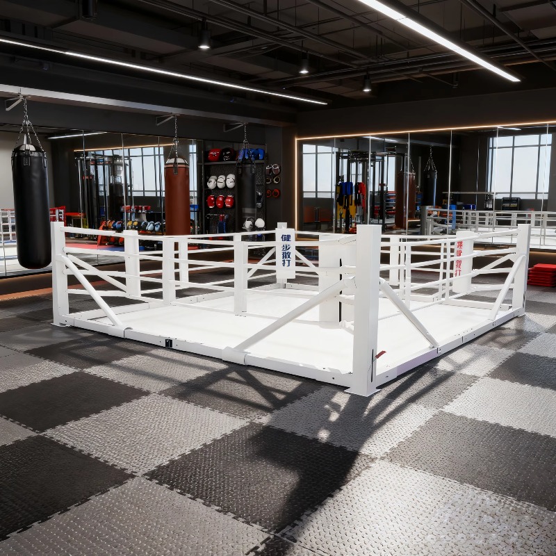 Foldable Gym Boxing Ring Set S - Home Gym Equipment Set avis et prix