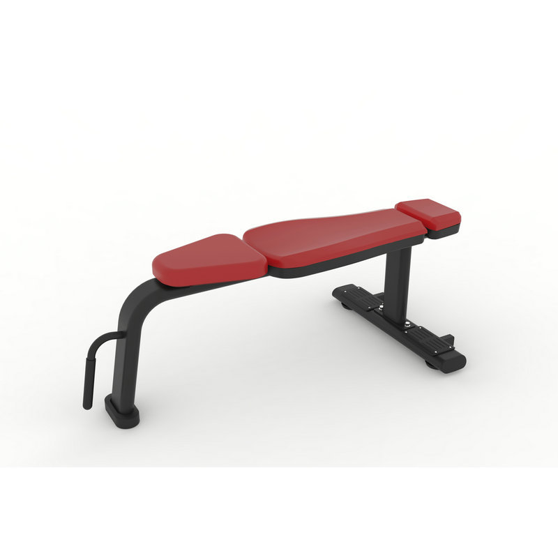 Multi-Functional Home Gym Fitn - Home Gym Dumbbells avis et prix