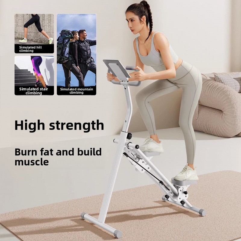 Home Gym Fitness Stair Climber - Leg Home Gym Workout avis et prix