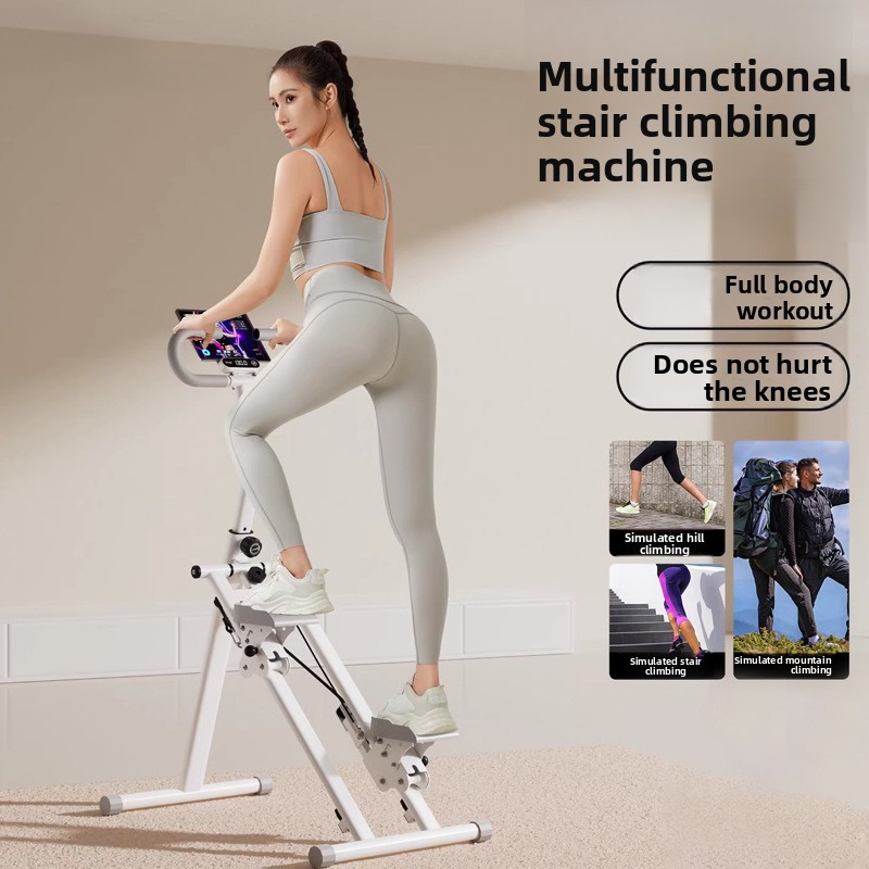 Home Gym Fitness Stair Climber - Leg Home Gym Workout avis et prix