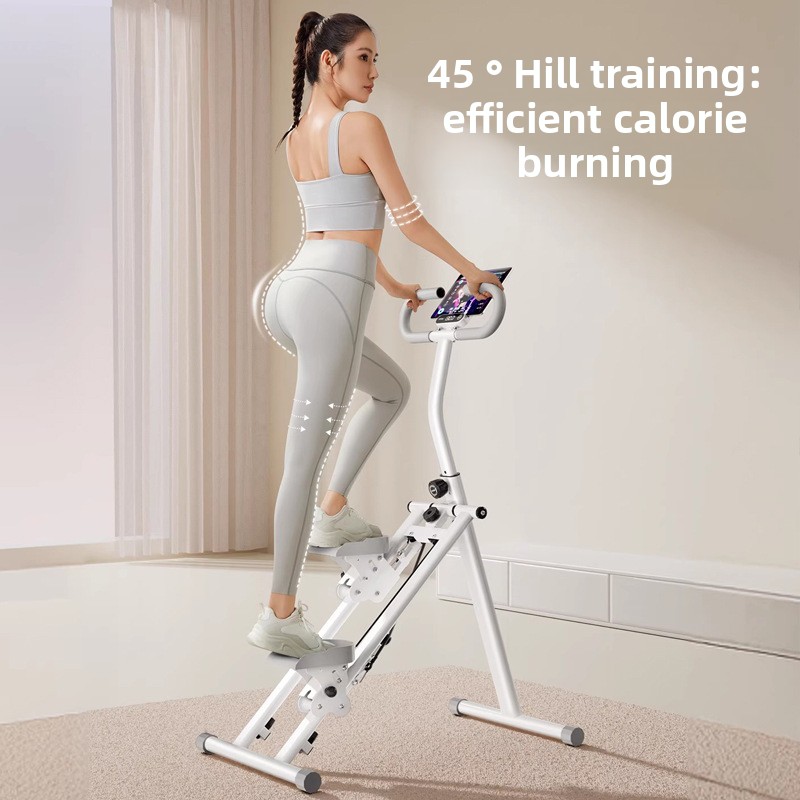 Home Gym Fitness Stair Climber - Leg Home Gym Workout avis et prix