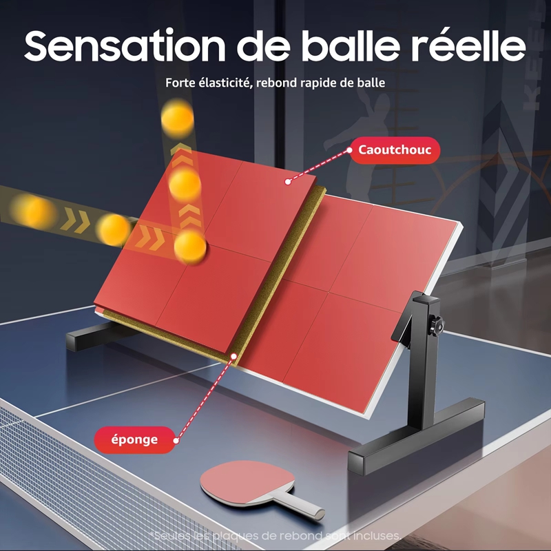 Desktop Table Tennis Rebound B - Home Gym Training Program avis et prix