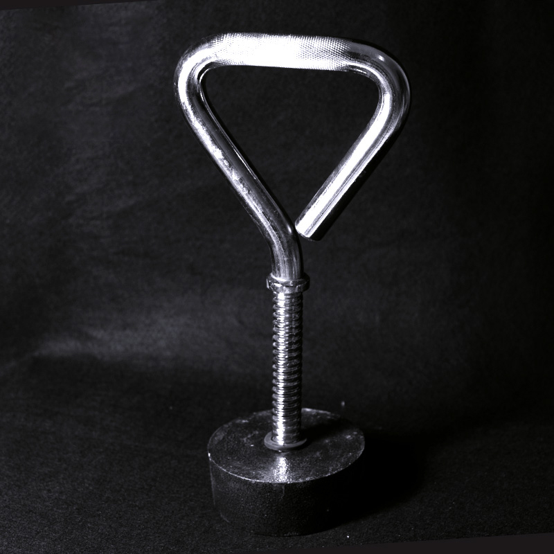Adjustable Fitness Kettlebell  - Leg Home Gym Workout avis et prix