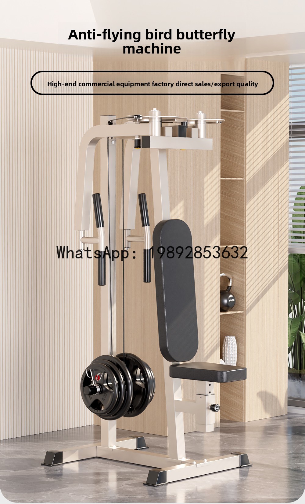 XL   Straight Arm Chest Traine - Home Gym Xl avis et prix