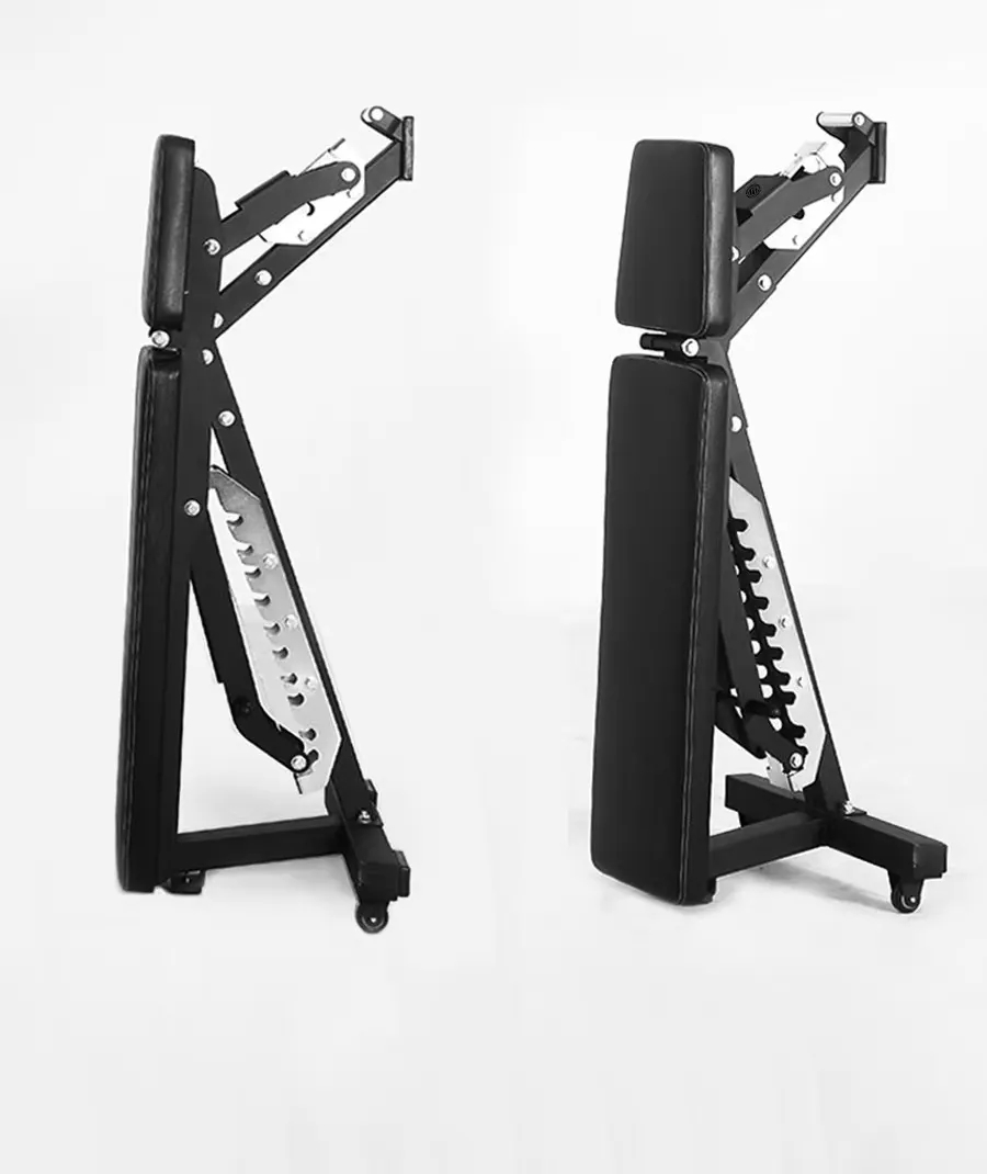Adjustable Dumbbell Foldable B - Home Gym Dumbbells avis et prix